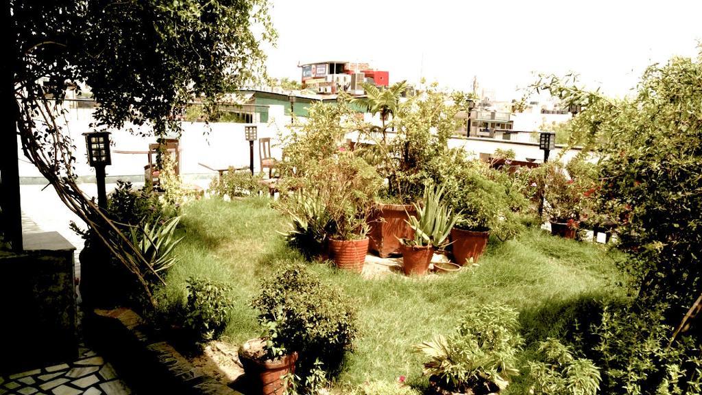 Vivek Hotel New Delhi Bagian luar foto